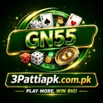 GN55